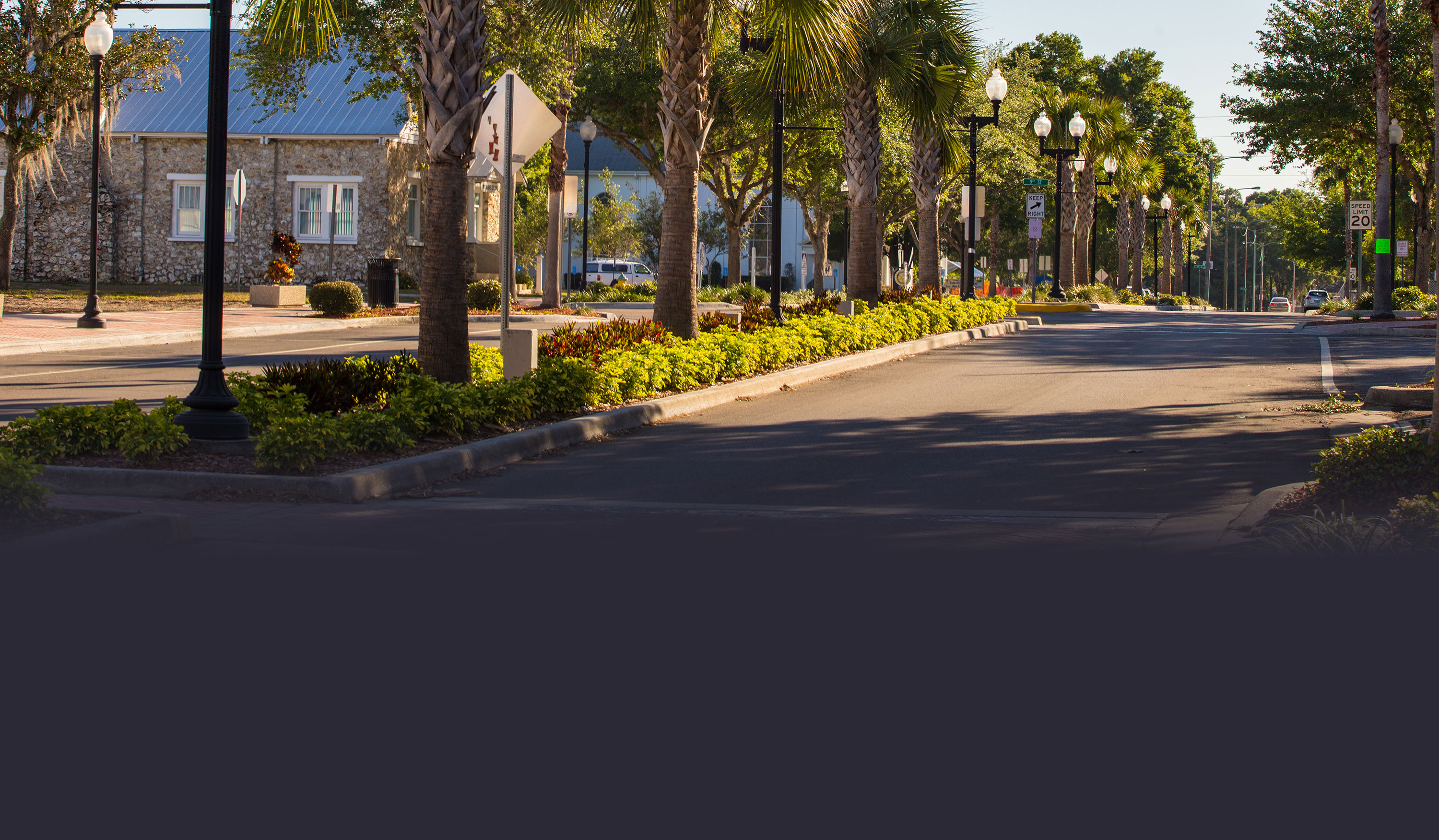 Header Image